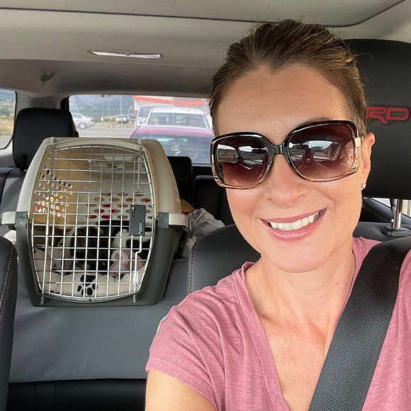 Meet your Posher, Amber - Picture 1 of 1